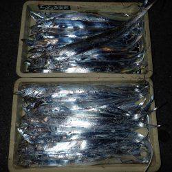 ZZ-STAP&ワインド&FLAP釣法でタチウオゲット!